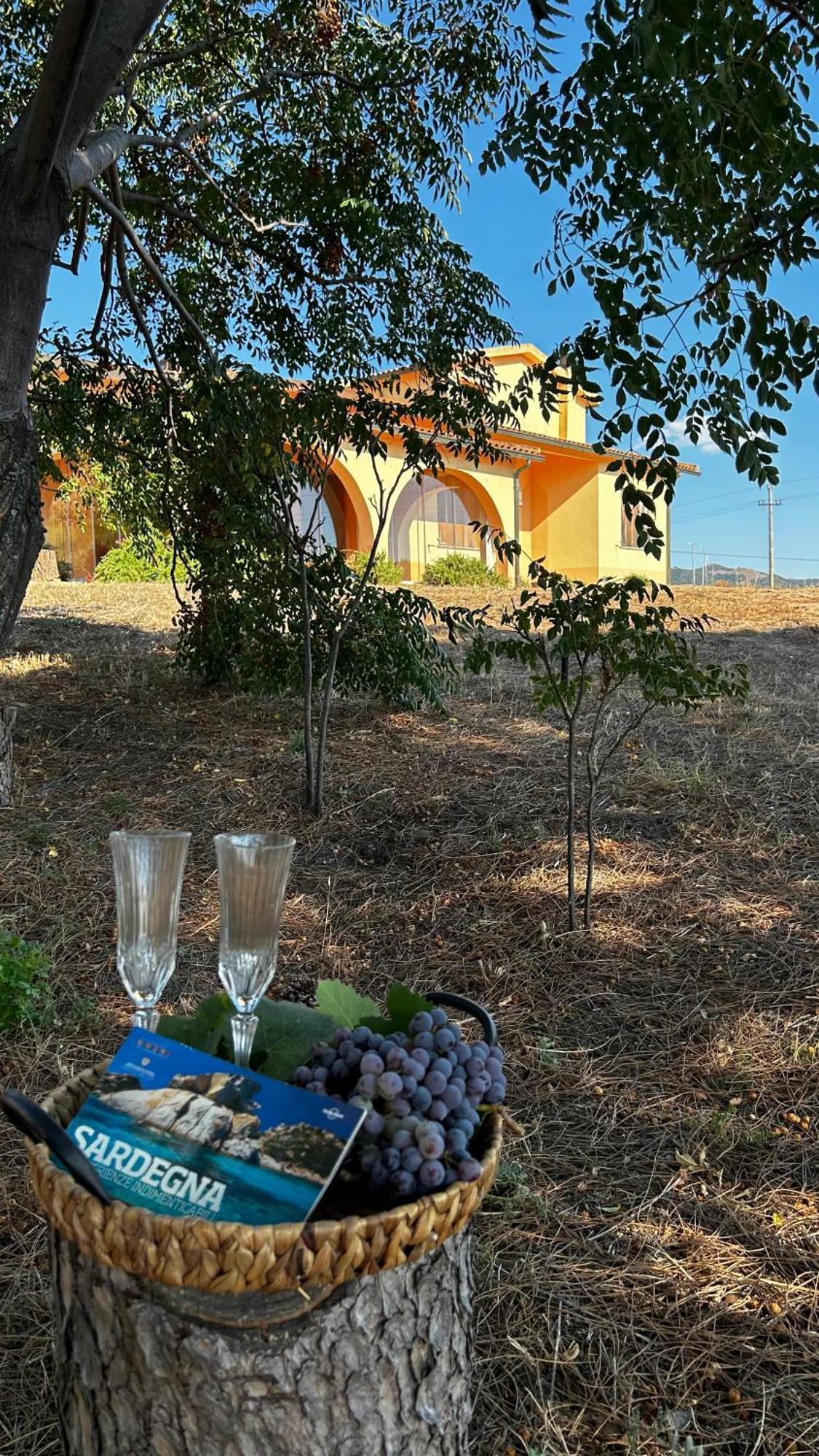 Villa Jolies Viddalba المظهر الخارجي الصورة